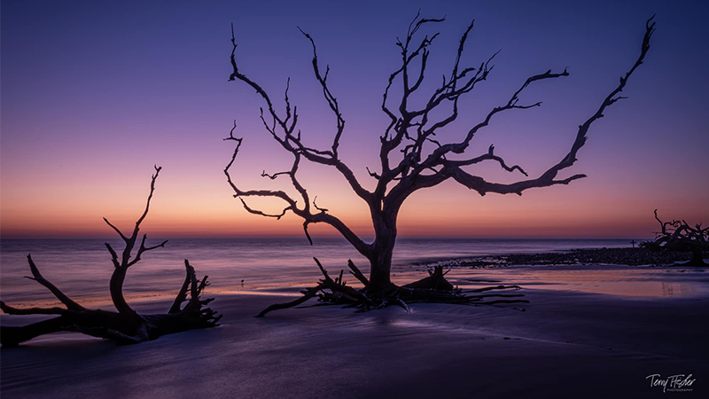 Driftwood Beach at sunrise